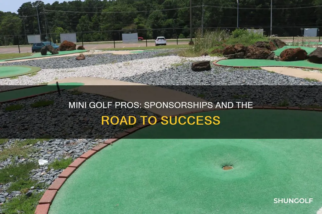 do mini golf tour pros have sponsors