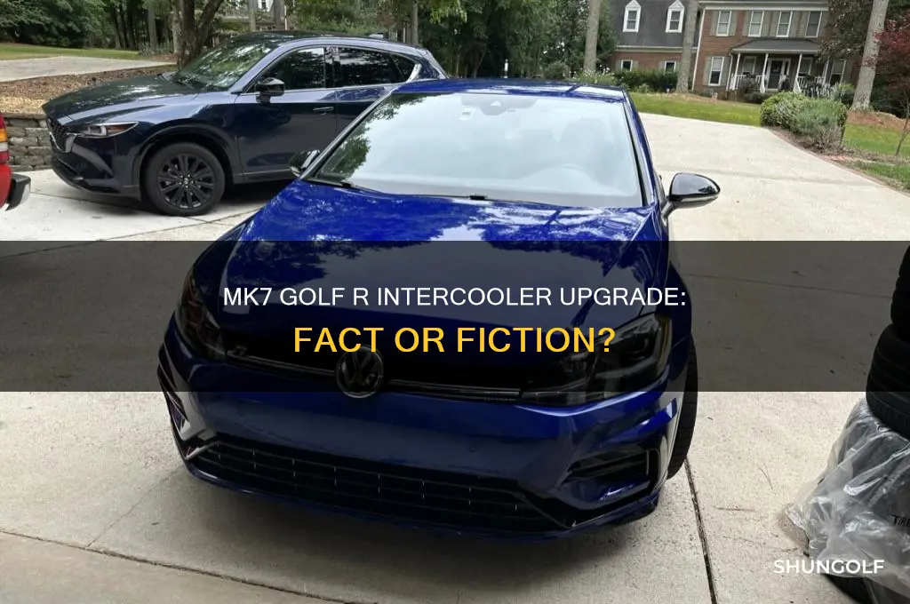do mk7 golf r