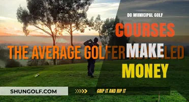 Do Municipal Golf Courses Profit? Analyzing Financial Viability and Community Impact