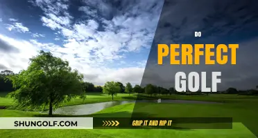 Golfing Excellence: Achieving Perfection in the Game