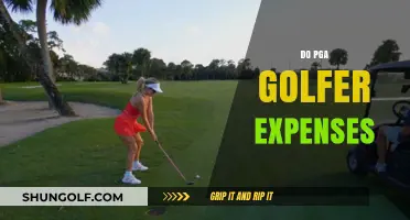 PGA Golfers: Expenses and Earnings
