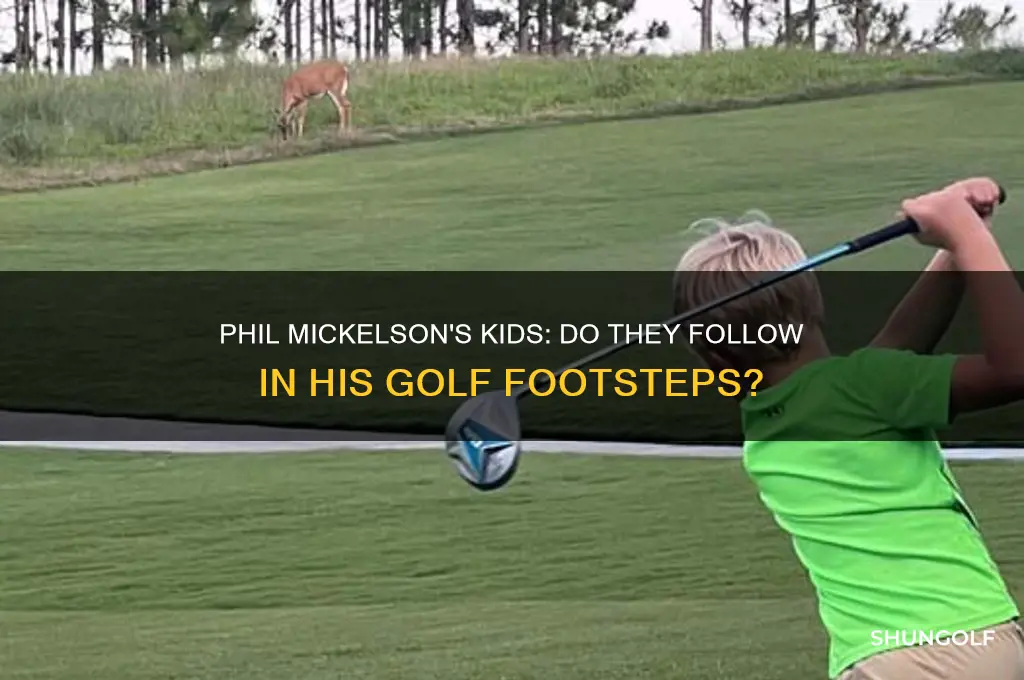 do phil mickelson