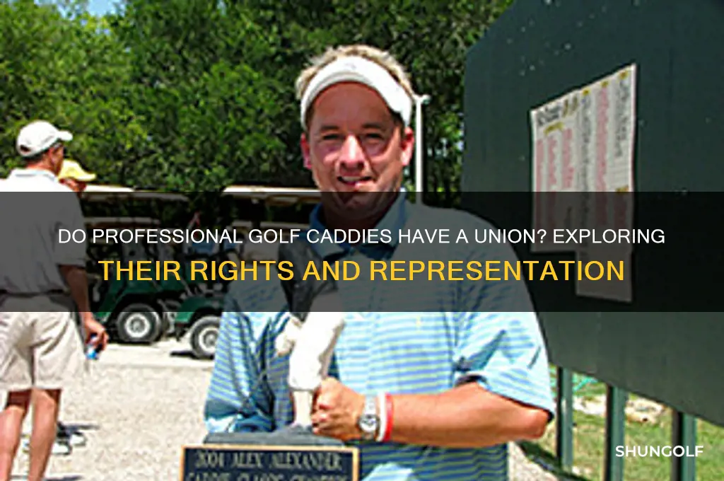 do professional golf caddies have a union