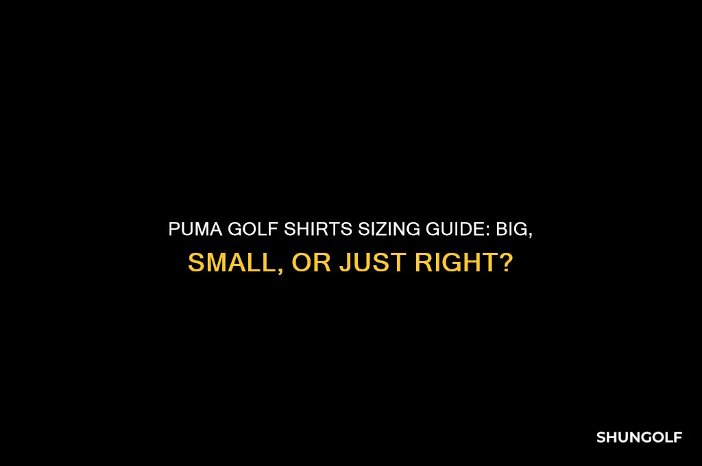 do puma golf shirts run big or small