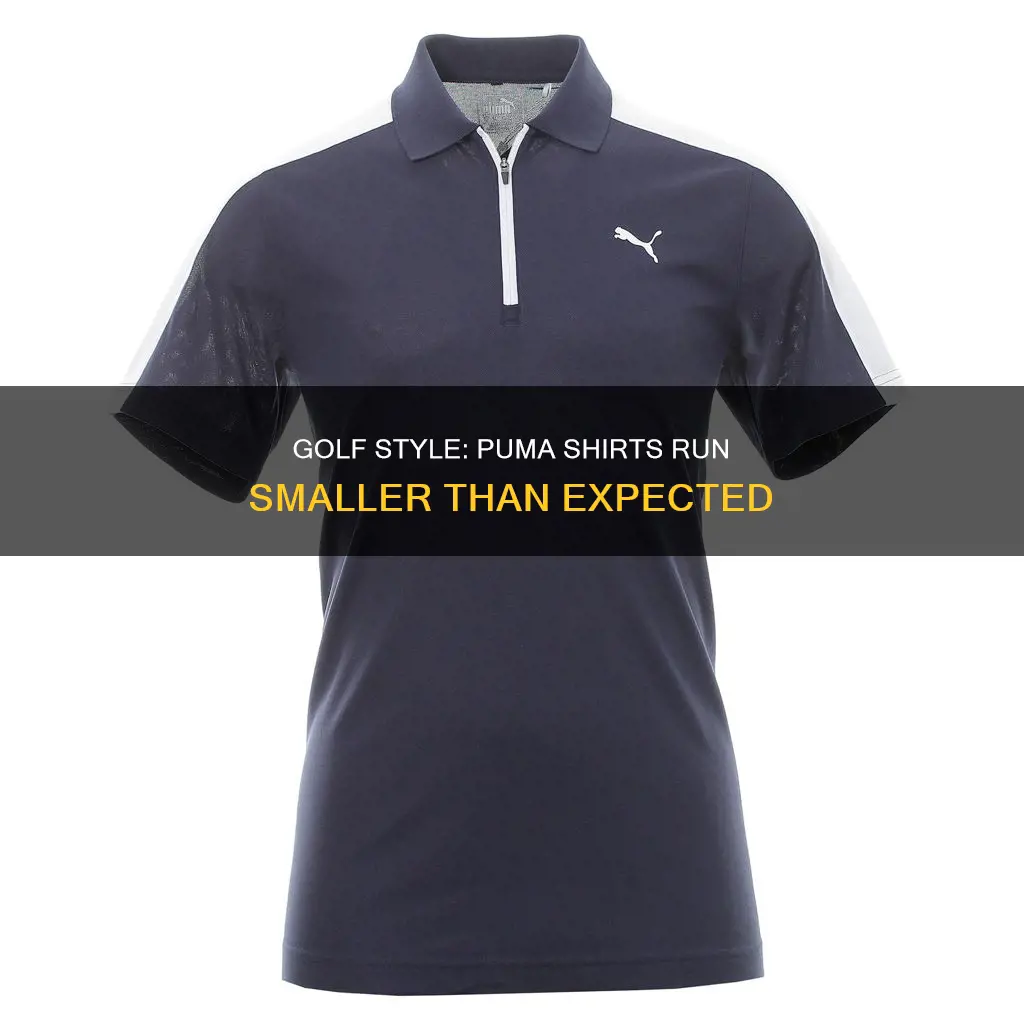 do puma golf shirts run small