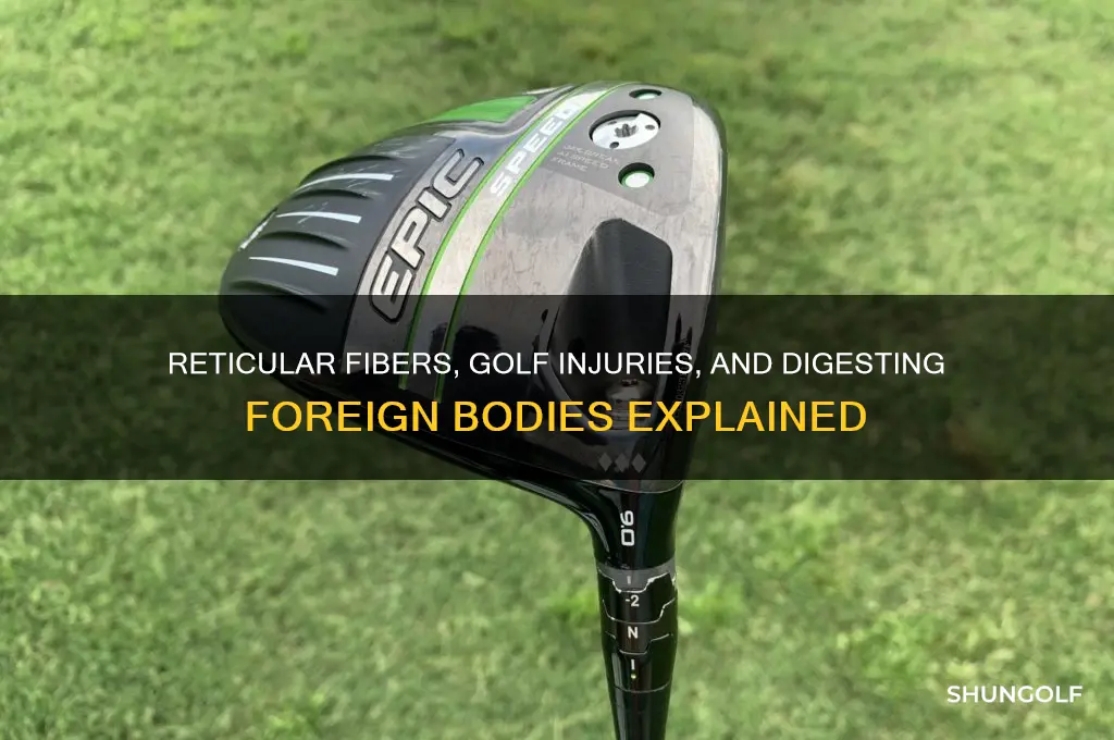 do reticular feels and golf and digest foreign bodies