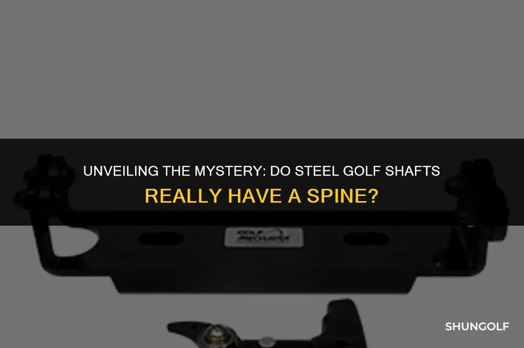 do steel golf shafts have a spine
