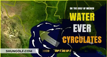 Does the Gulf of Mexico Water Ever Circulate? Exploring Ocean Currents