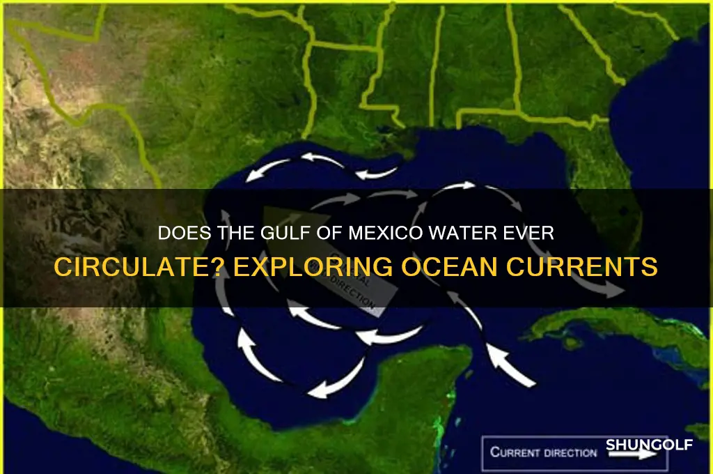 do the golf of mexico water ever cyrculates