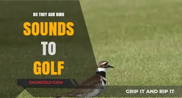 Do Golf Broadcasts Enhance Ambiance with Added Bird Sounds?