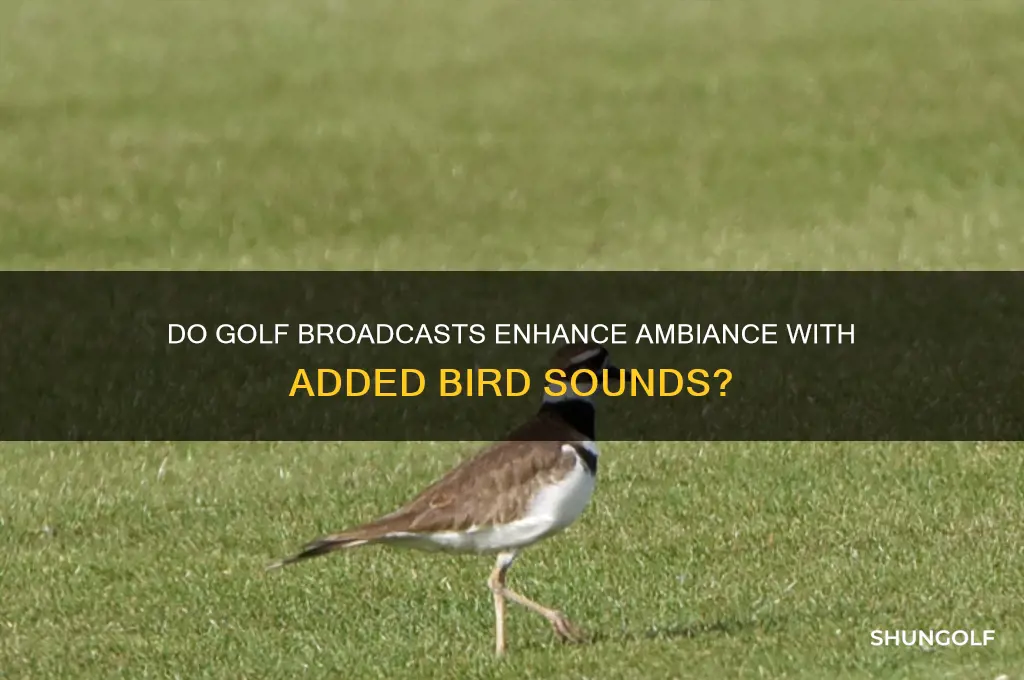 do they add bird sounds to golf