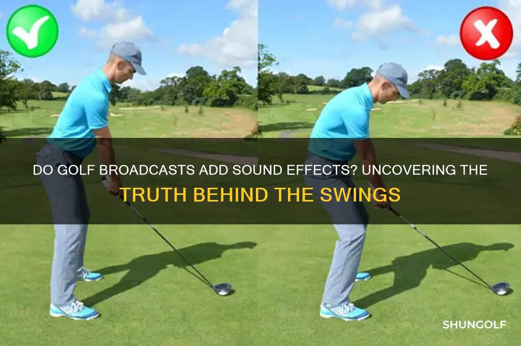 do they add sound effects to golf