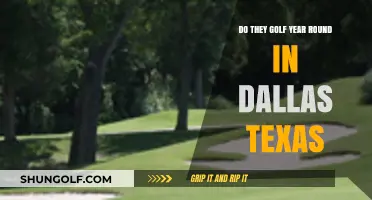 Year-Round Golfing in Dallas: Weather, Courses, and Player Insights