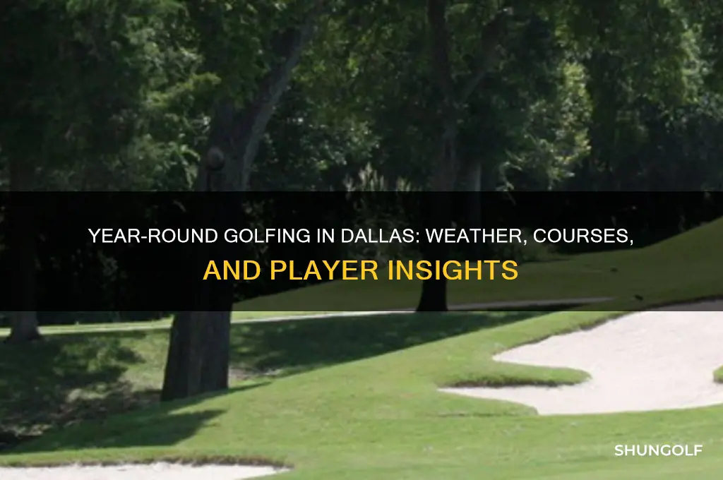 do they golf year round in dallas texas