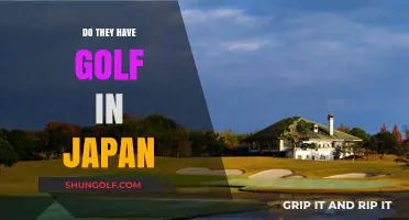 Golf in Japan: A Hole-in-One Experience