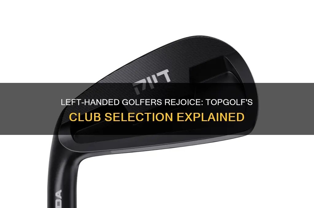 do they have left handed clubs at top golf