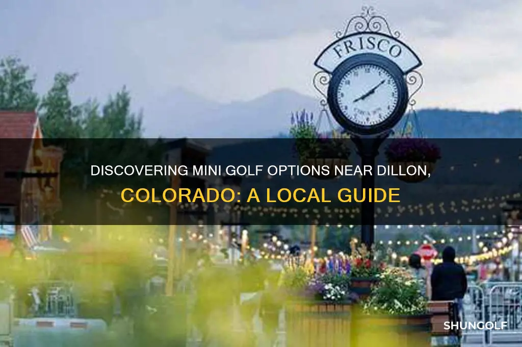 do they have put put golf by dillon in colorado