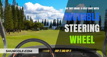 Movable Steering Wheel Golf Carts: Are They a Real Option?