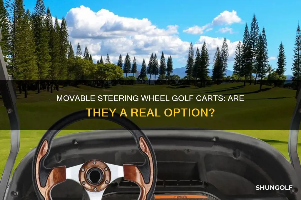do they make a golf cart with movable steering wheel