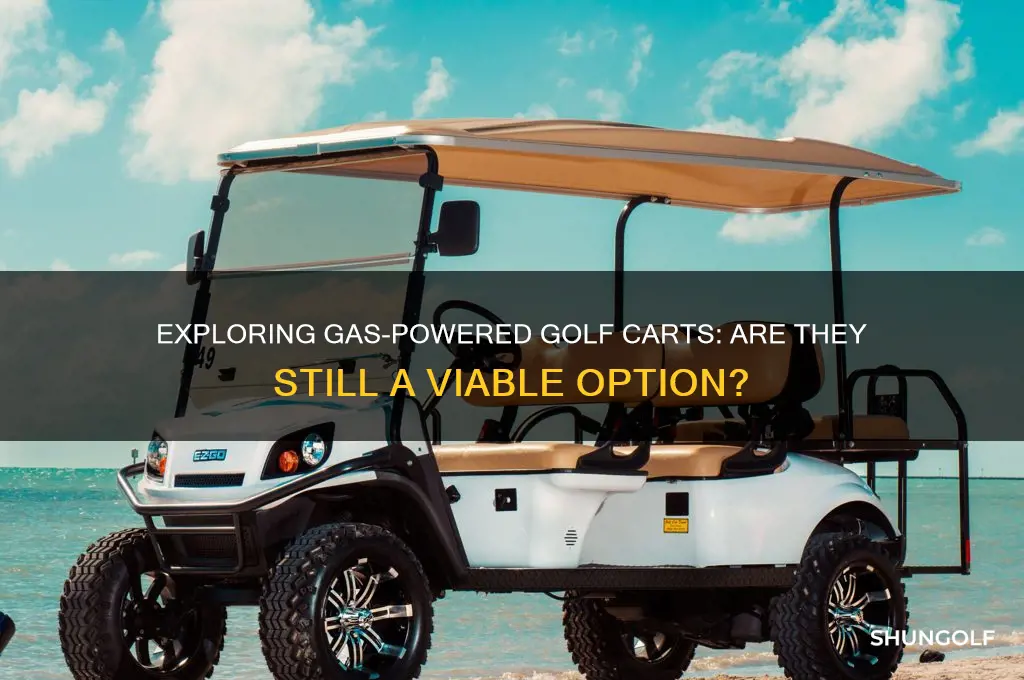 do they make gas golf cart