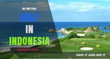 Exploring Indonesia's Golf Scene: Popularity, Courses, and Cultural Impact