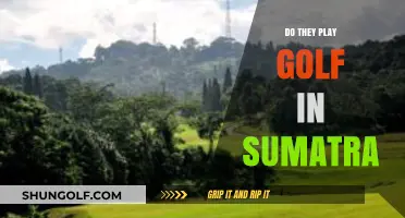 Exploring Sumatra's Golf Scene: A Look at the Island's Courses