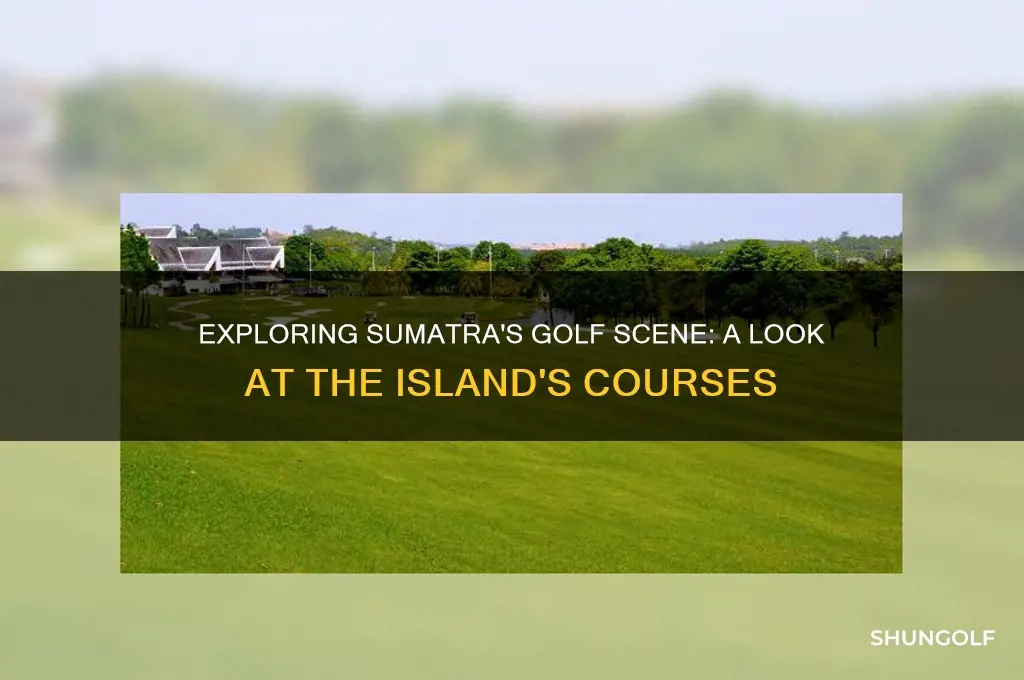 do they play golf in sumatra