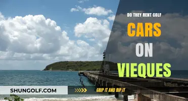 Exploring Vieques: Golf Cart Rentals Availability and Tips for Visitors