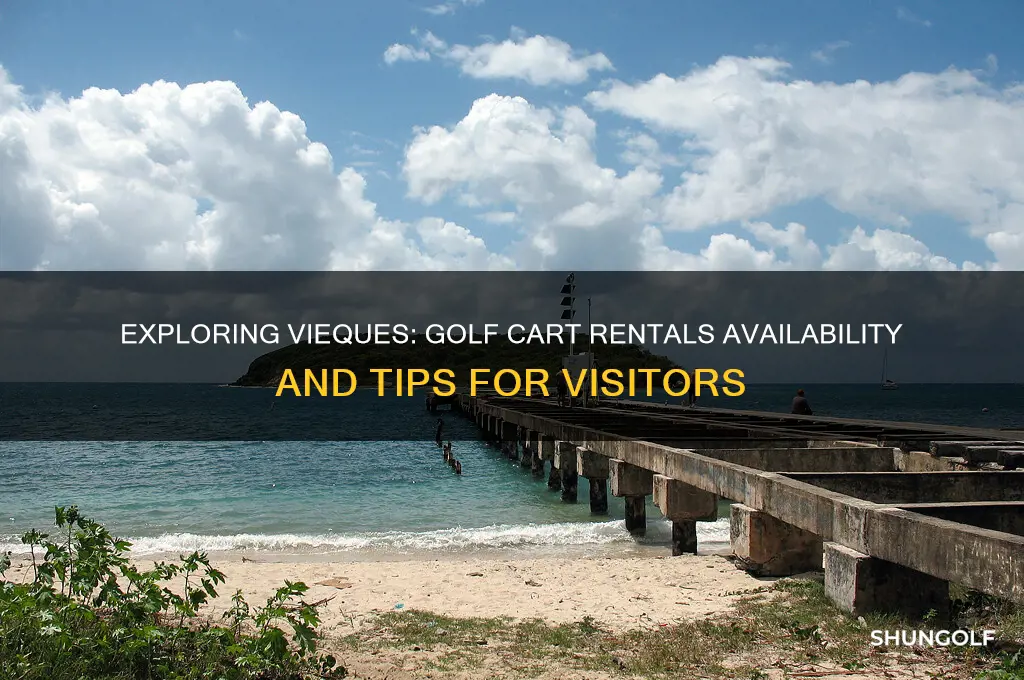 do they rent golf cars on vieques