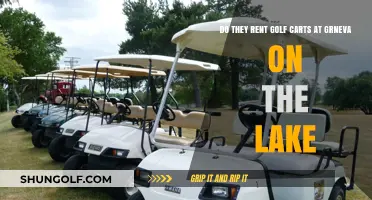 Golf Cart Rentals at Greenview on the Lake: What You Need to Know