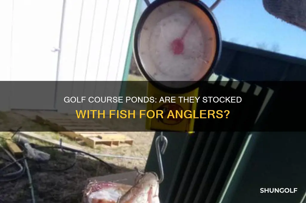do they stock fish in golf course ponds