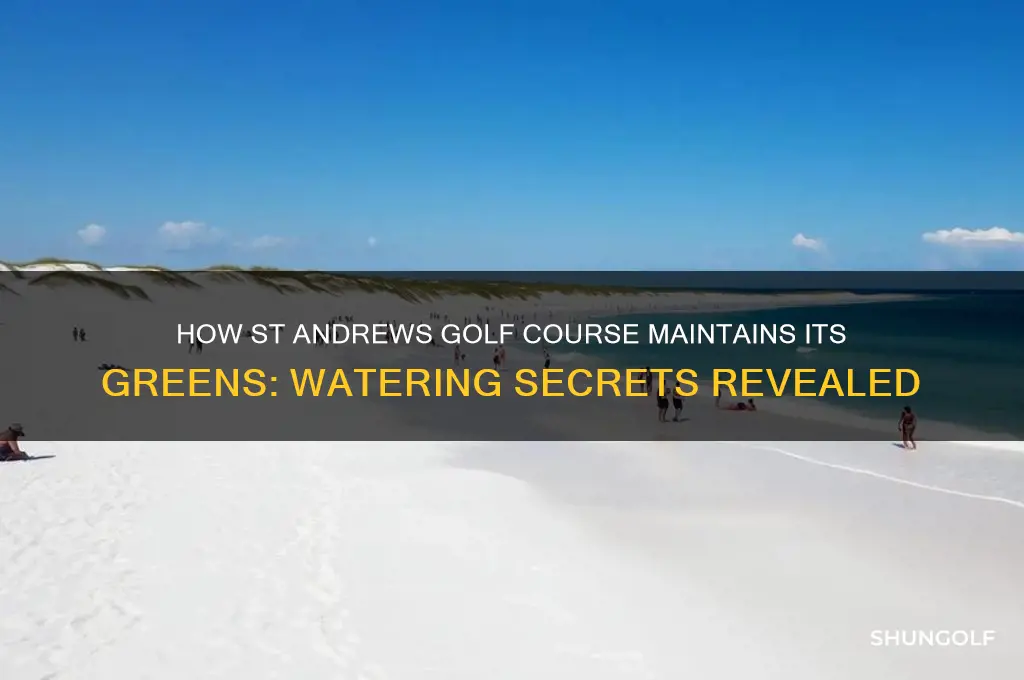 do they water st andrews golf course