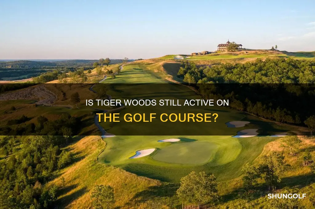do tiger woods still play golf