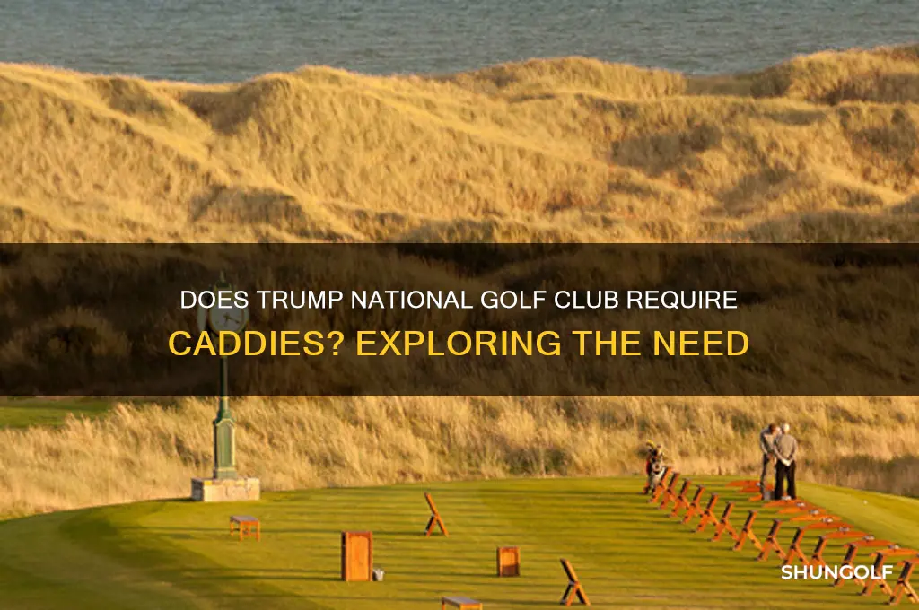 do trump national golf club needs caddie