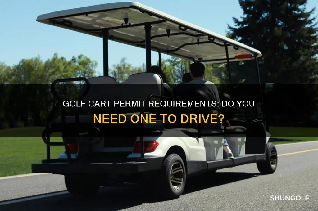 do u need a permit to drive a golf cart