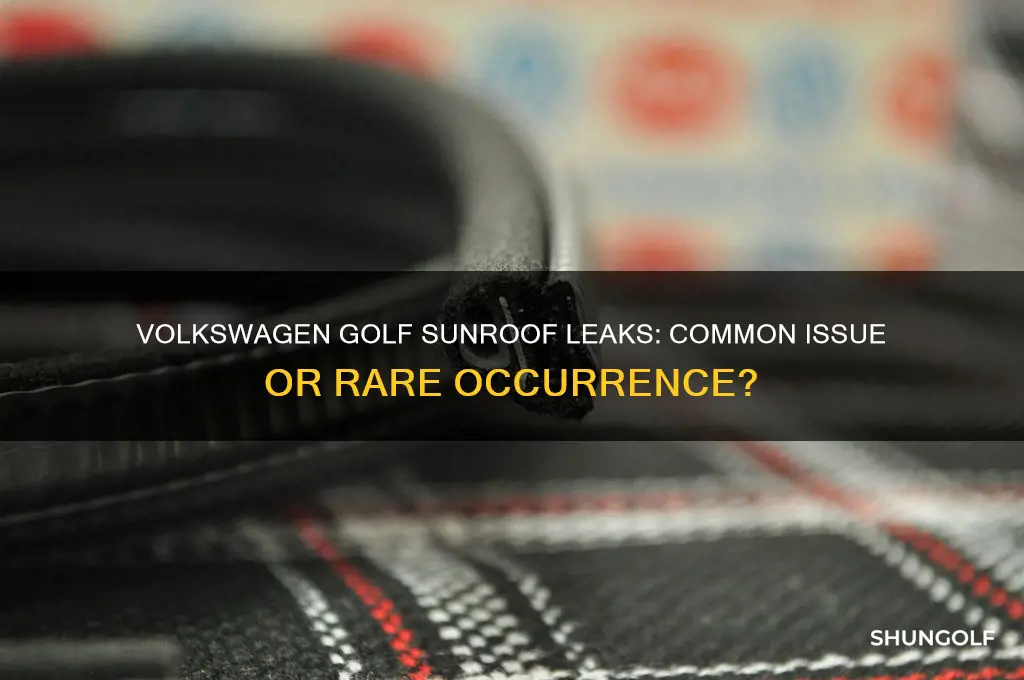 do volkswagen golf always leak water in sunroof