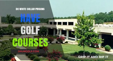 White Collar Prisons: Fact-Checking the Golf Course Myth