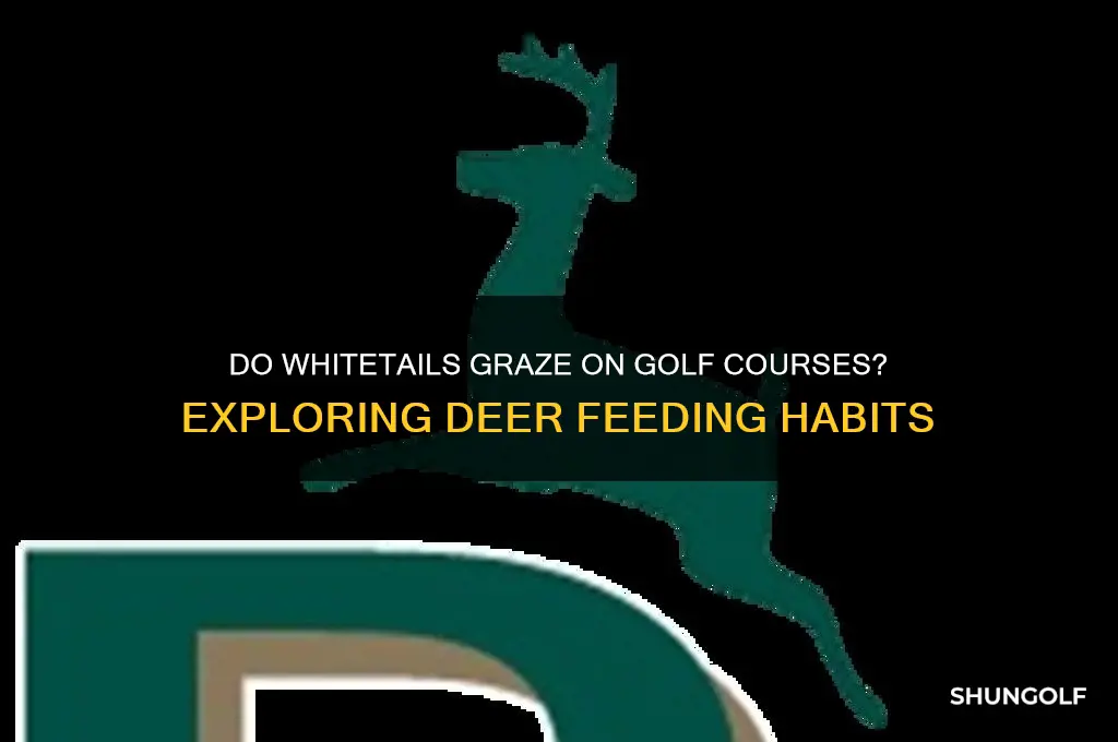 do whitetails use golf course as food
