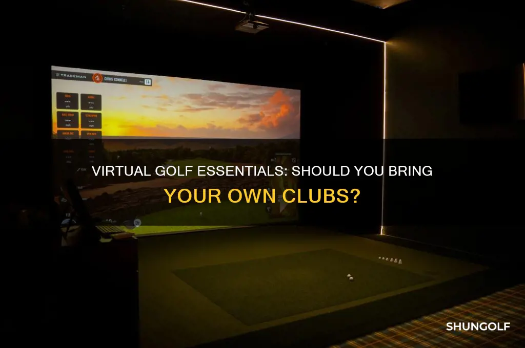 do you bring your own clubs to virtual golf
