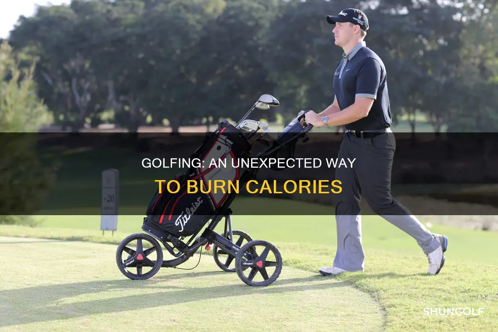 do you burn calories golfing
