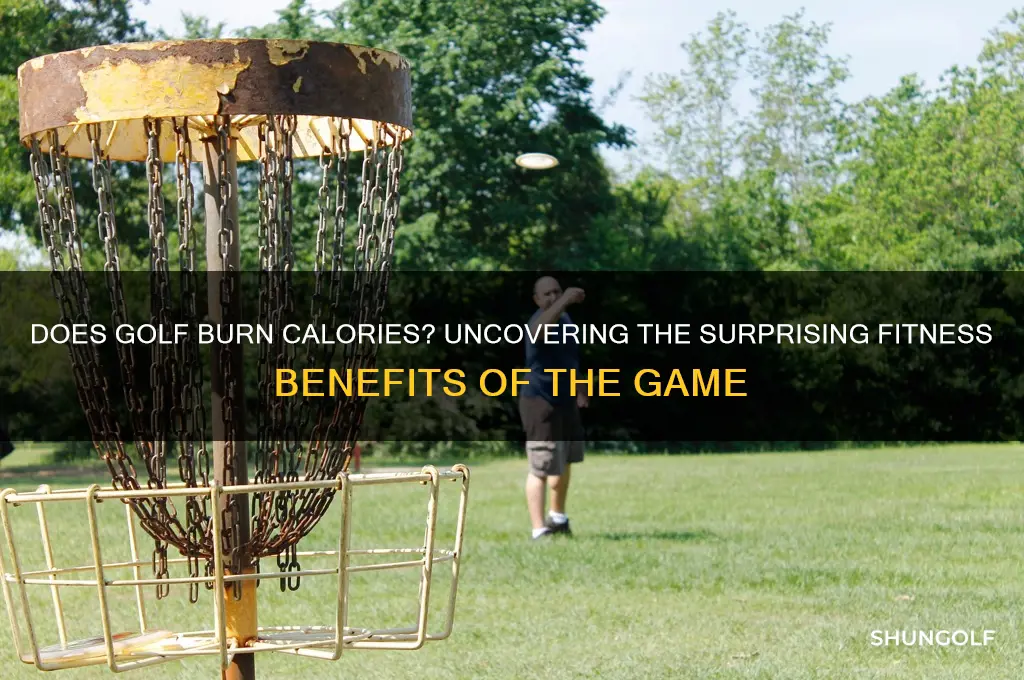 do you burn calories playing golf