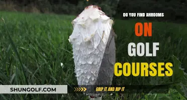 Exploring Golf Courses: Are Ahrooms a Common Sight?