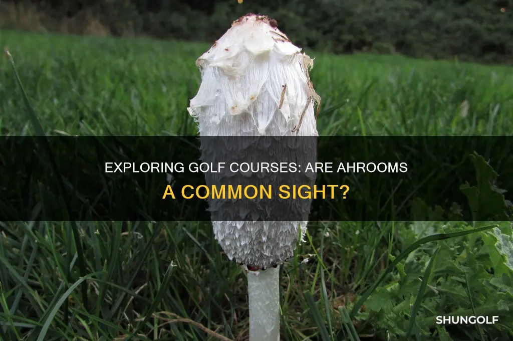 do you find ahrooms on golf courses