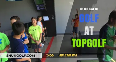 Golfing at Topgolf: Is It a Must or Optional Fun?