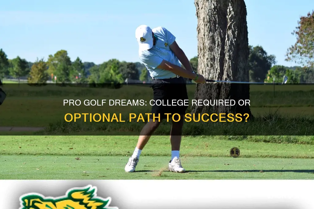do you have to play college golf to go pro