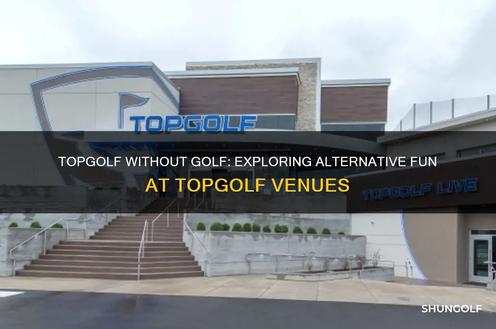 do you have to play golf at topgolf