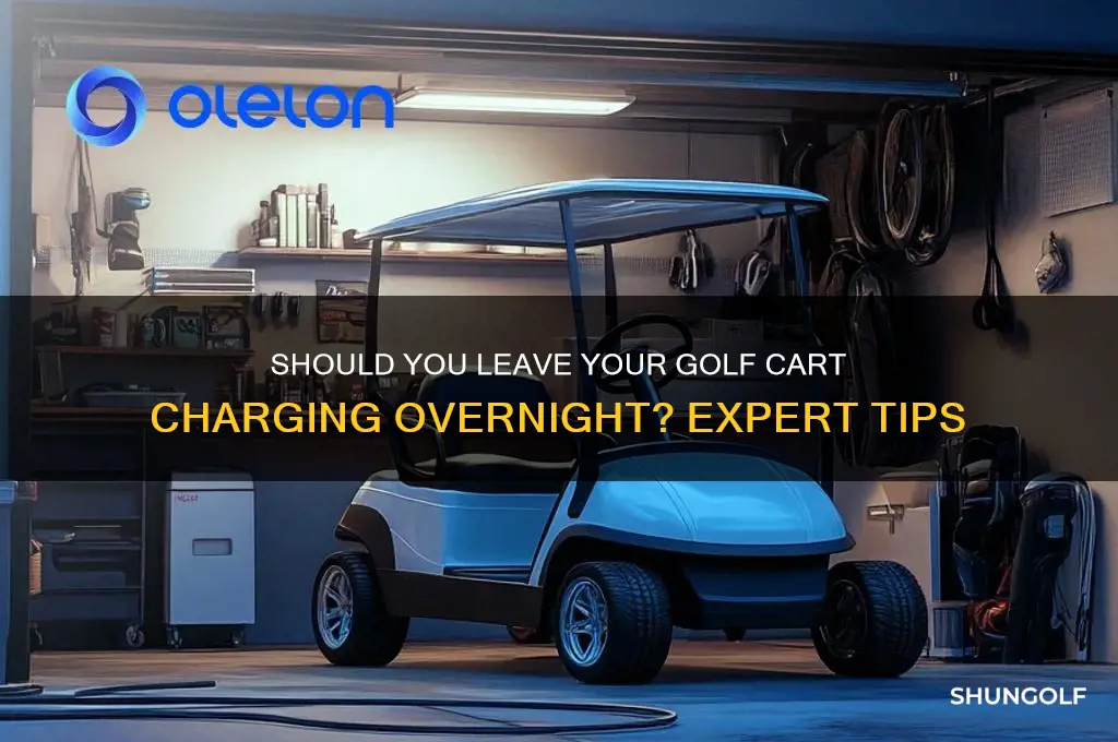 do you leave your golf cart on charge all night