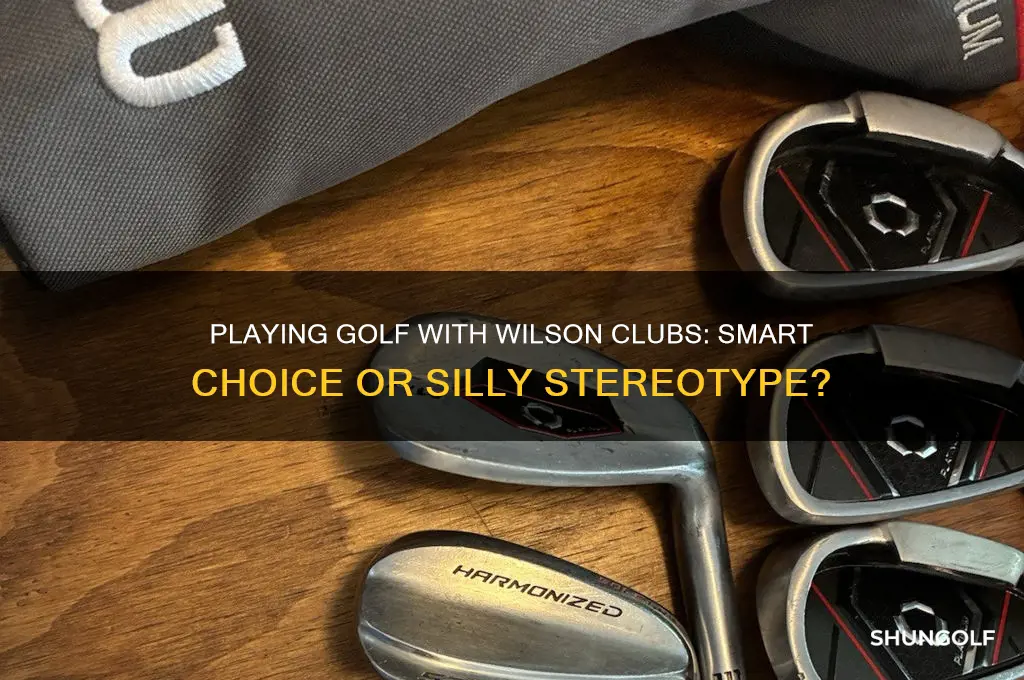 do you look stupid playing golf with wilson clubs
