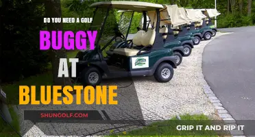 Golf Buggy at Bluestone: Essential or Optional? Your Guide