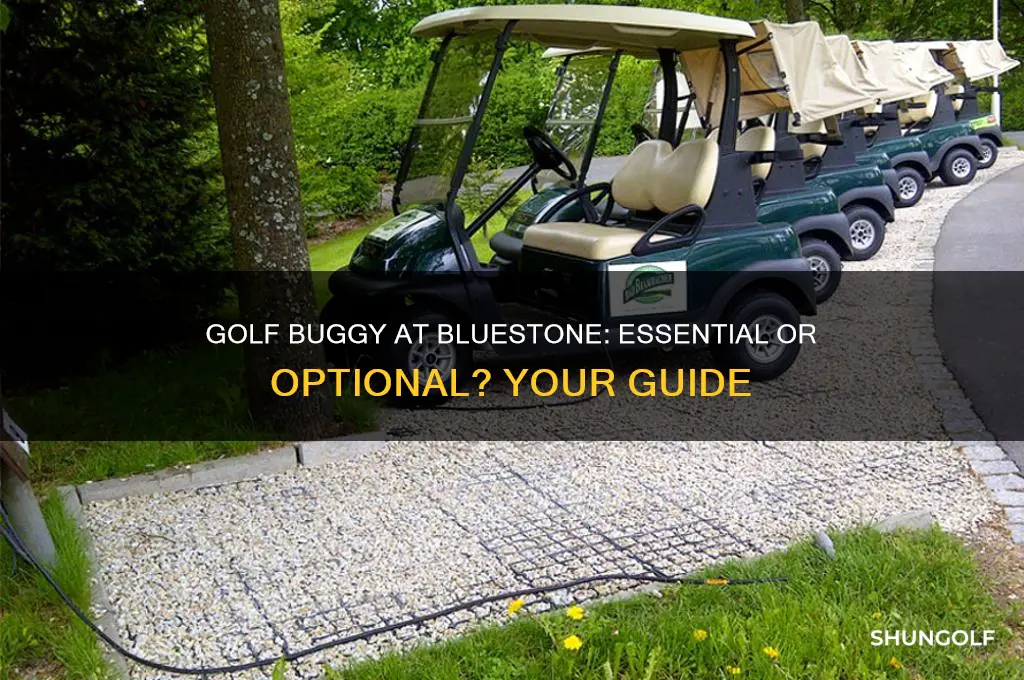 do you need a golf buggy at bluestone